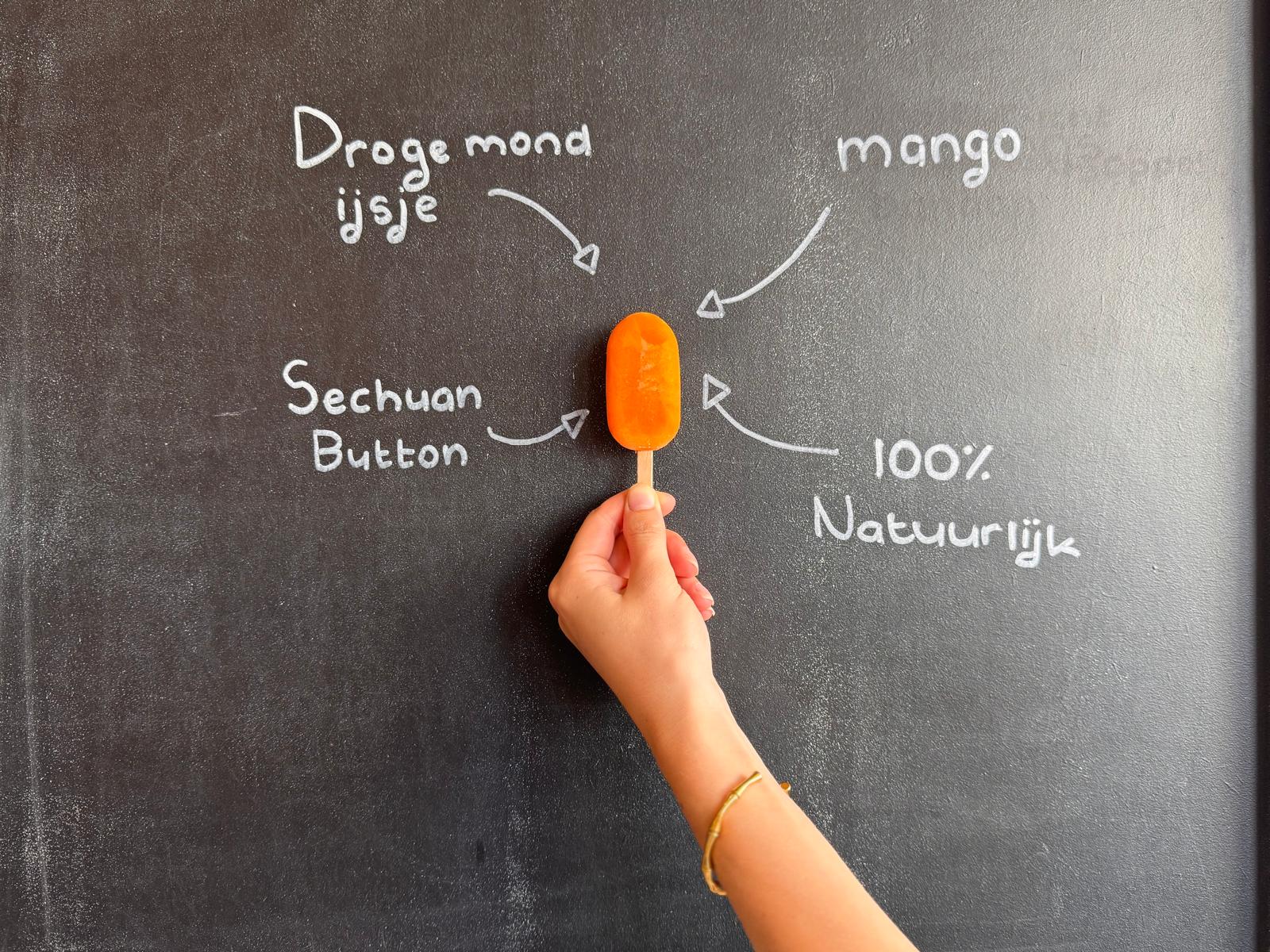 Sechuan Bundel - 4 x 3 Smaken - Afbeelding 2